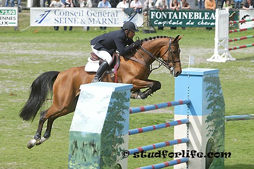 Mic Mac 2005Fontainebleau55[1].jpg